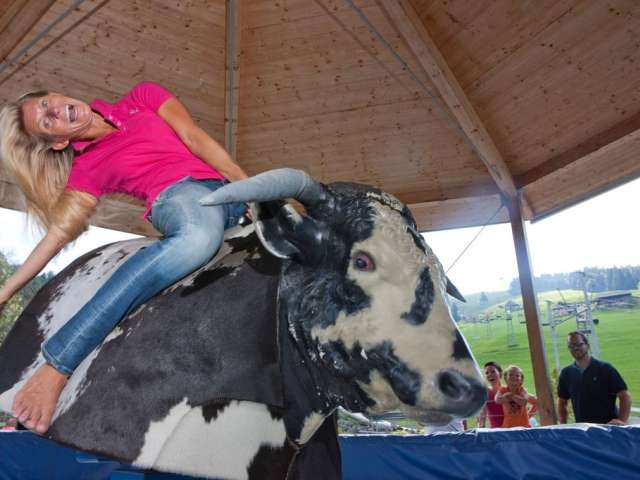 Bull-Riding-Contest