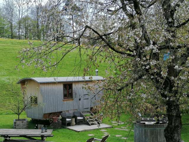 Schlafen im Zirkuswagen