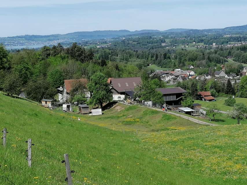 Archehof Rüegg