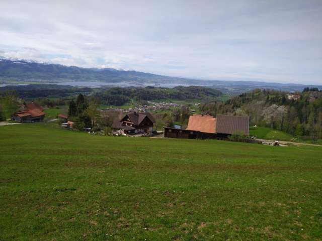 Bio-Bergbauernhof Raimann