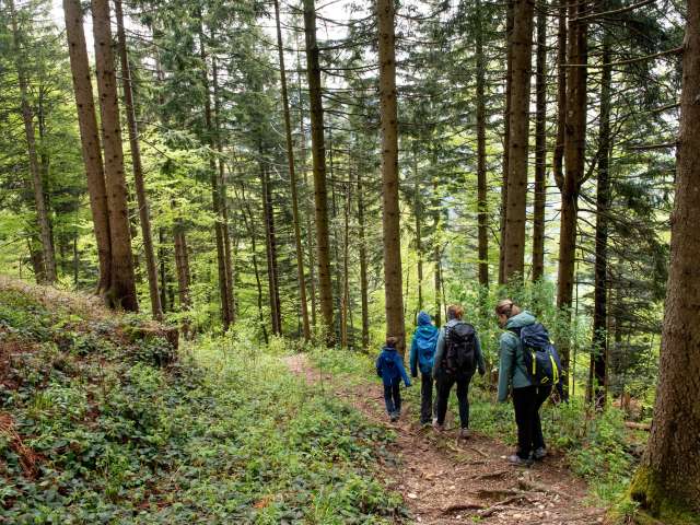 Wandern im Atzmännig - Route 4
