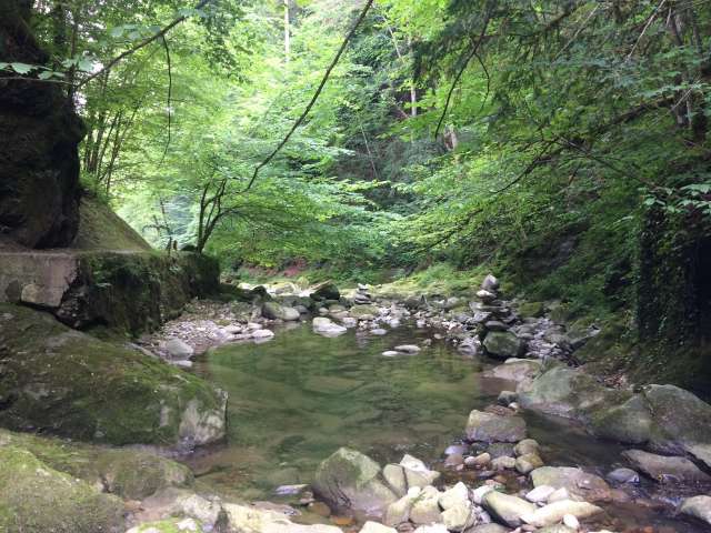 Aabachtal - Neuhüslertobel