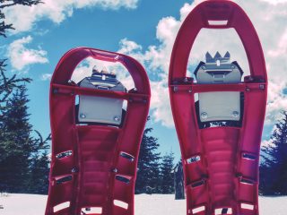 Schneeschuhwanderung zur Alpwirtschaft Hüttenberg