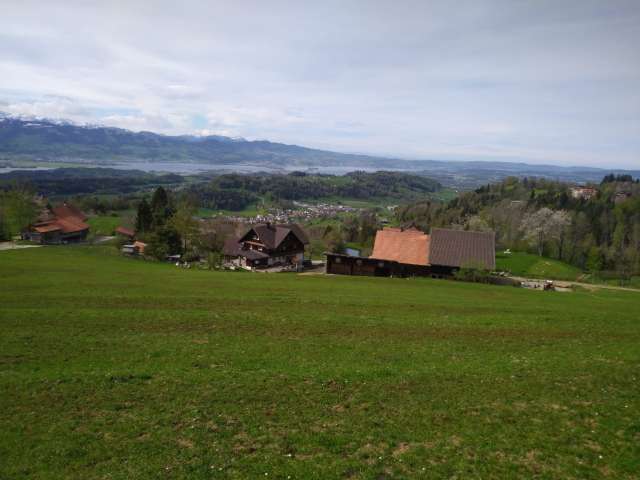 Bio-Bergbauernhof Raimann