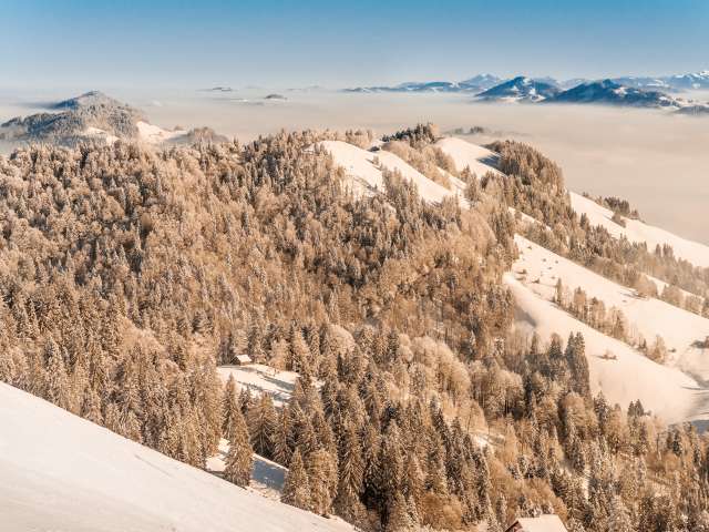 Erlebnistipp im Winter