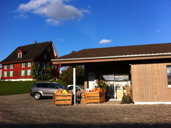 Auhof Wagen