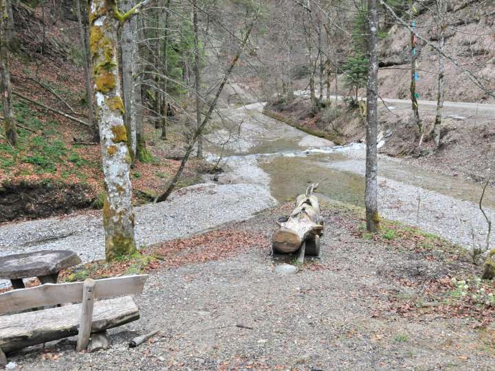 Feuerstelle Tössscheide