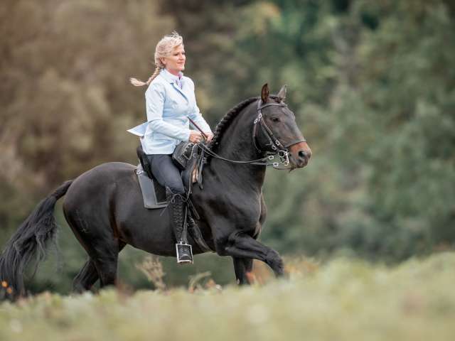 Lucy's Pferdepark Reitschule