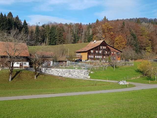 Hubertinger Bio-Weide-Beef