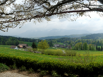 Restaurant Berg